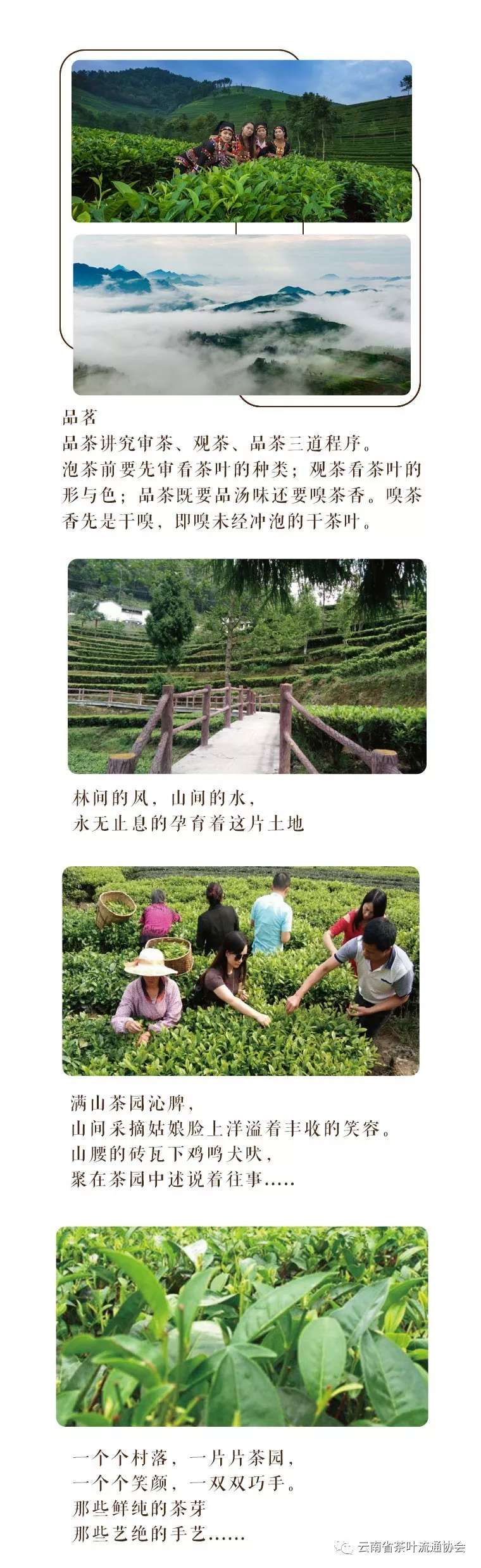 微信圖片_20181119105323.jpg