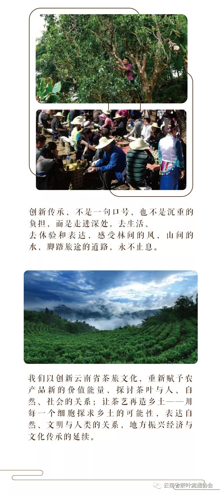 微信圖片_20181119105326.jpg