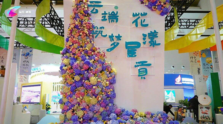 02.jpg